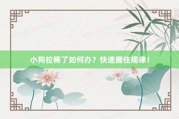 小狗拉稀了如何办？快速握住规律！